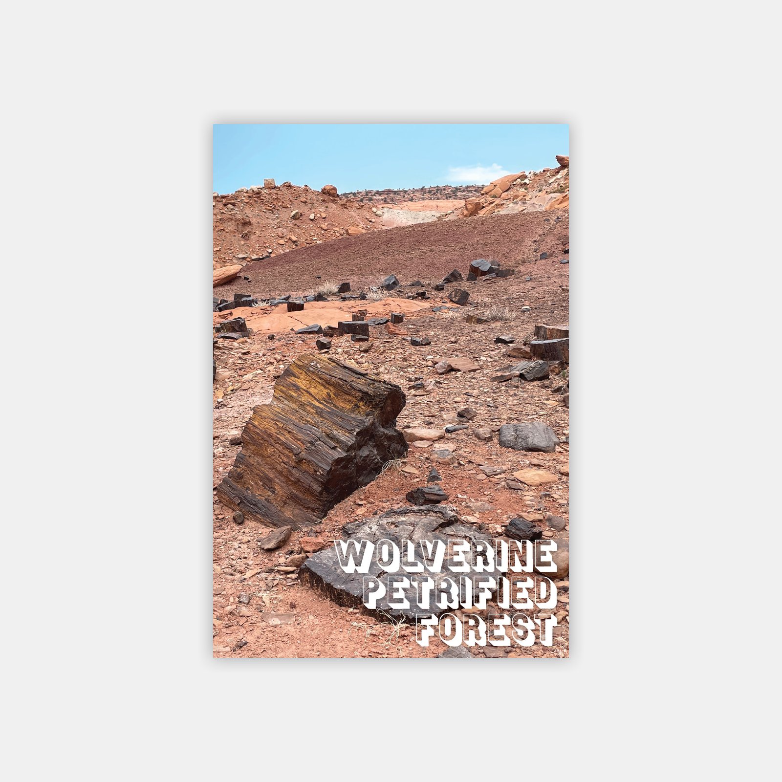 Adventure Zine: Wolverine Petrified Forest | Torpor House